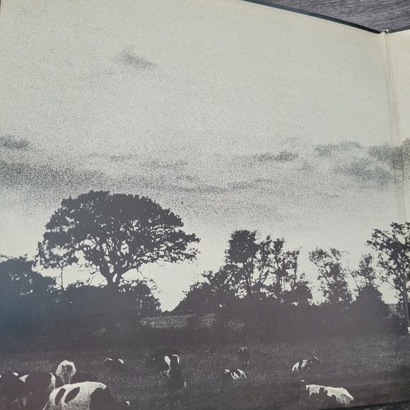 Pink Floyd Atom Heart Mother Vinyl - Fair Condition - Picture 3 of 6